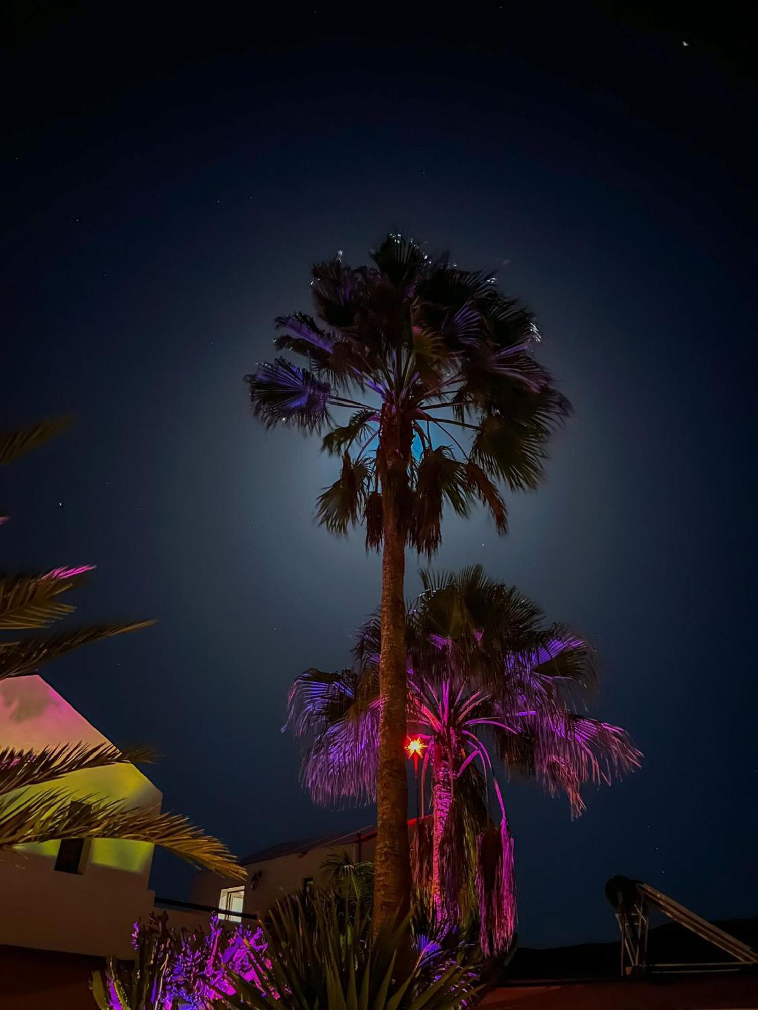 Casa Cocolores Villaverde  エクステリア 写真